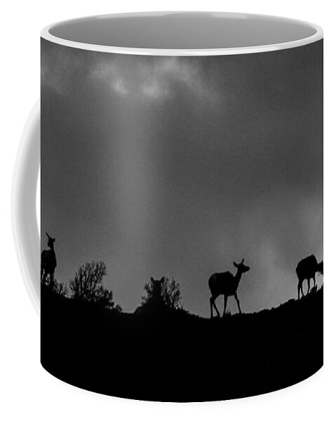 Big Horn Sheep Coffee Mug featuring the photograph Evening Ridge by Kevin Dietrich