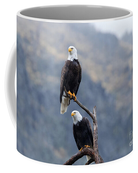 Bald Eagle Coffee Mug featuring the photograph Ever Watchful by Michael Dawson