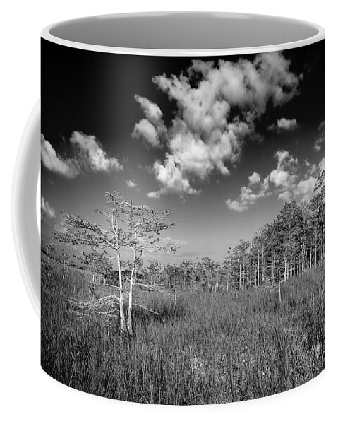 Bush Coffee Mug featuring the photograph Everglades 9574BW by Rudy Umans