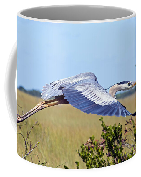 Wildlife Coffee Mug featuring the photograph Everglades Heron by Kenneth Albin