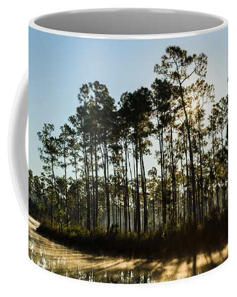 Everglades National Park Coffee Mug featuring the photograph Everglades Sunrise by Stefan Mazzola