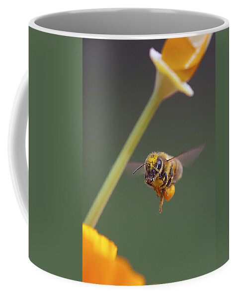 Bees Coffee Mug featuring the photograph Excuse Me by Joe Schofield