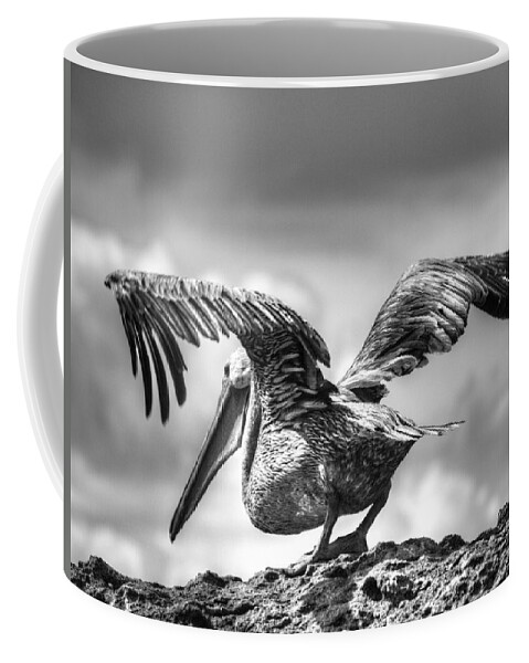 Black And White Coffee Mug featuring the photograph Expecting to Fly by Joe Schofield