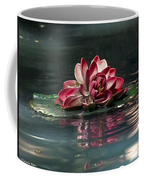 Water Coffee Mug featuring the photograph Exquisite Water Flower by Lucinda Walter
