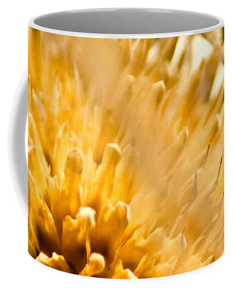 Exsiccate Coffee Mug featuring the photograph Exsiccate by Joel Loftus