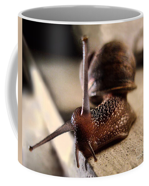 Snail Coffee Mug featuring the photograph Eye Contact with a Snail by Jennie Breeze