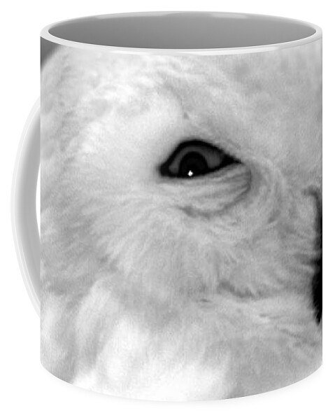 Snowy Coffee Mug featuring the photograph Eye On You by Adam Olsen