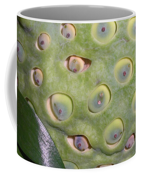 Flower Photograph Coffee Mug featuring the photograph Eye See You 2 by Michele Penn