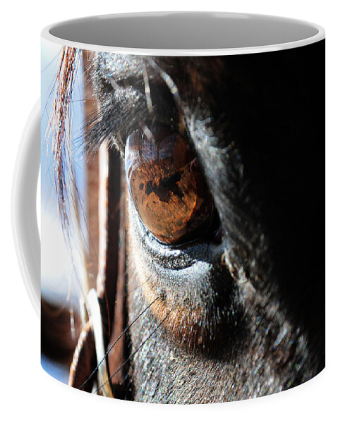 Horse Eyeball Arizona Wickenburg Eyelashes Reflection Coffee Mug featuring the photograph Eyeball Reflection by Susie Rieple