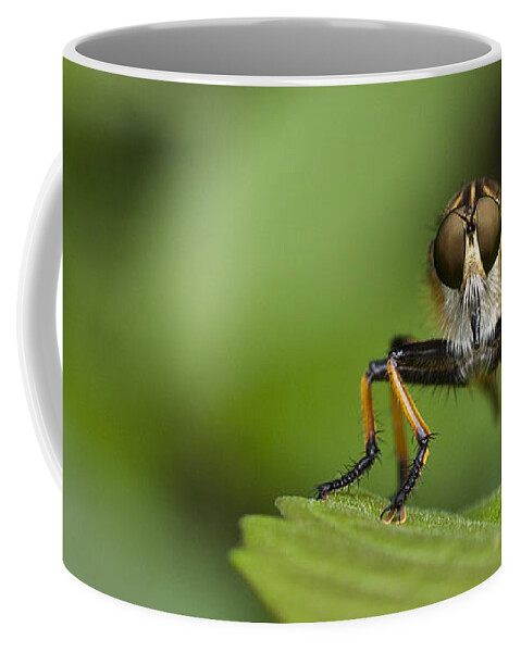 Digital Print Coffee Mug featuring the photograph Eyes for you by Tony Mills