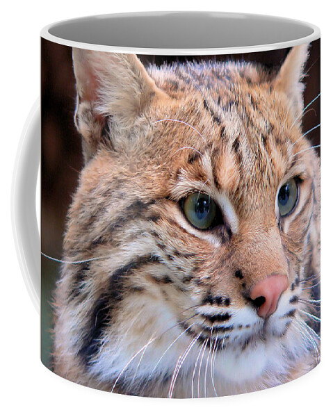 Lynx Coffee Mug featuring the photograph Eyes of a Lynx by Rosalie Scanlon