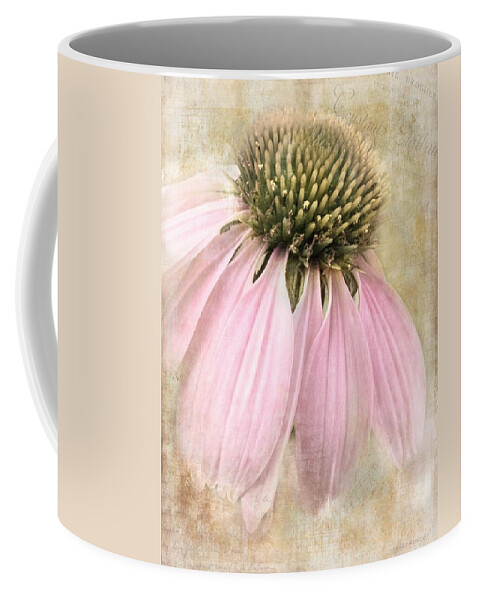 Coneflower Coffee Mug featuring the photograph Faded Coneflower by Melissa Bittinger