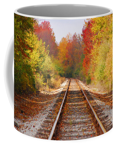 Railroad Tracks Coffee Mug featuring the photograph Fading Tracks by Mary Carol Story