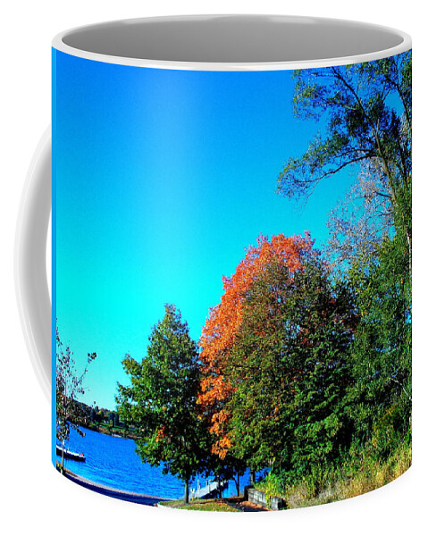 Fall At The Docks Coffee Mug featuring the photograph Fall at the Docks by Darren Robinson