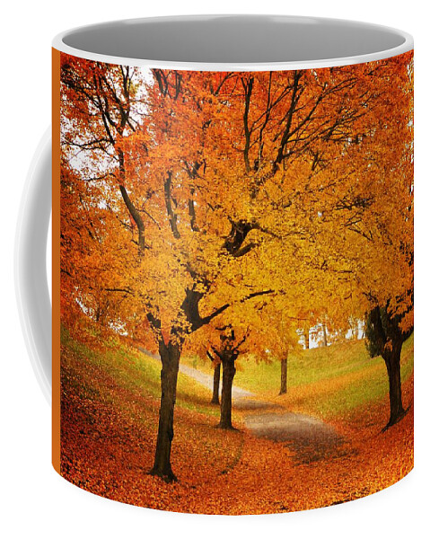 Trees Coffee Mug featuring the photograph Fall Blaze by Chris Berry