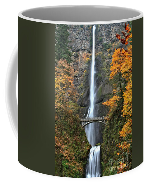 Multnomah Coffee Mug featuring the photograph Fall Colors At Multnomah by Adam Jewell