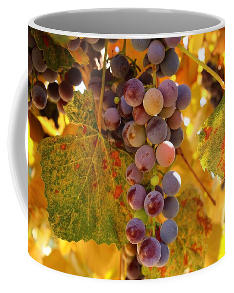 Grapes Coffee Mug featuring the photograph Fall colors by Lynn Hopwood