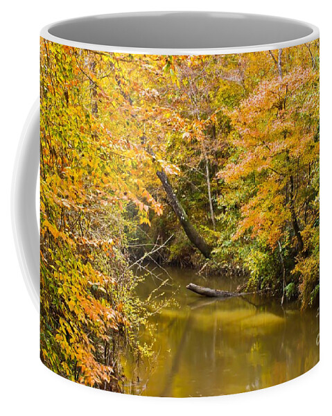 Michael Tidwell Photography Coffee Mug featuring the photograph Fall Creek Foliage by Michael Tidwell