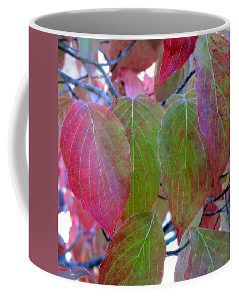 Duane Mccullough Coffee Mug featuring the photograph Fall Dogwood Leaf Colors 1 by Duane McCullough