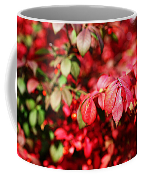 Autumn Coffee Mug featuring the photograph Fall Foliage Colors 10 by Metro DC Photography