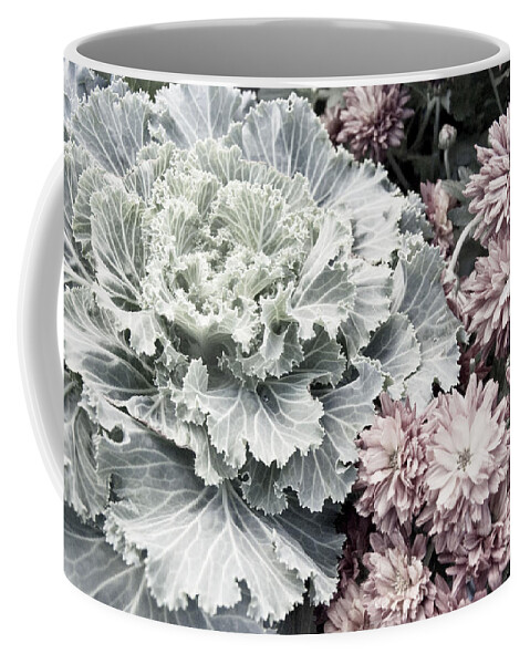 Kale Digital Photography Coffee Mug featuring the digital art Fall is in the Air by Danielle Summa