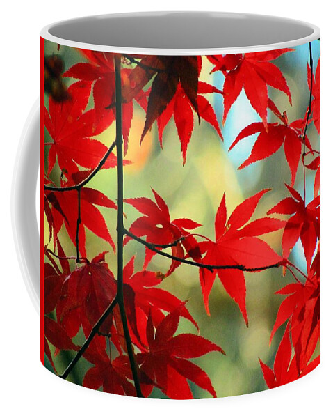 Autumn Coffee Mug featuring the photograph Fall Leaves by Carol Montoya