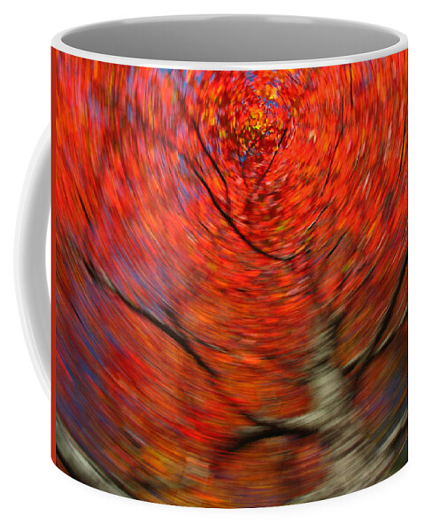 Intentional Camera Movement Coffee Mug featuring the photograph Fall Tree Carousel by Juergen Roth