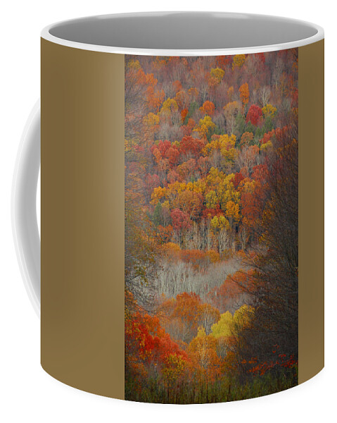 Fall Coffee Mug featuring the photograph Fall Tunnel by Raymond Salani III