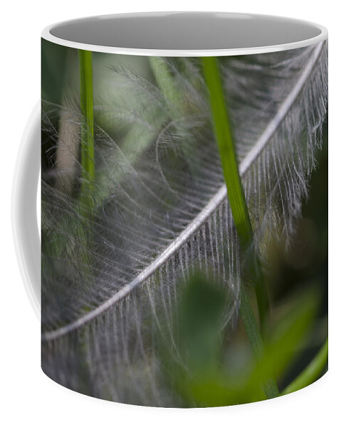 Feather Coffee Mug featuring the photograph Fallen Feather by Jim Shackett