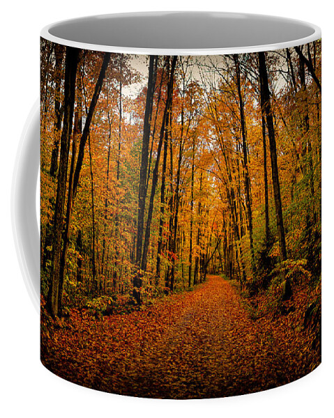 Fallen Leaves Coffee Mug featuring the photograph Fallen Leaves by David Patterson