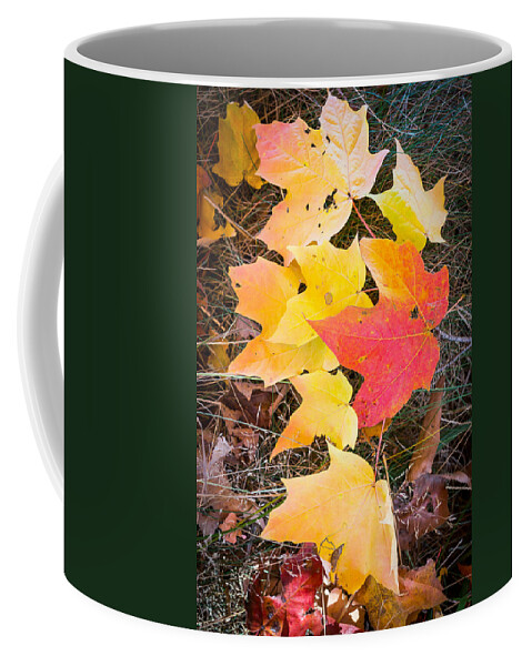 Fall Colors Coffee Mug featuring the photograph Fallen Leaves by Jatin Thakkar