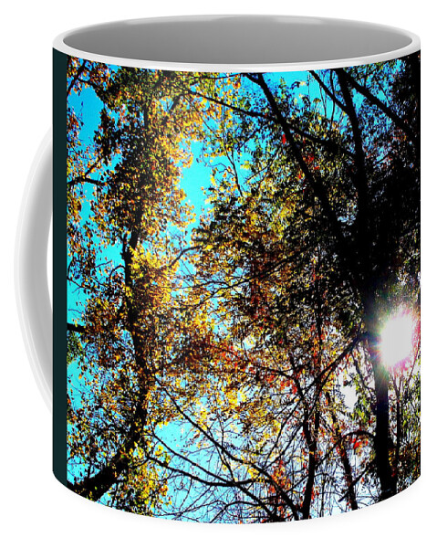 Falling Into Color Coffee Mug featuring the photograph Falling into Color by Darren Robinson