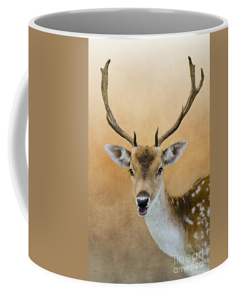 Deer Coffee Mug featuring the photograph Wildlife Fallow Stag Fine Art by Linsey Williams