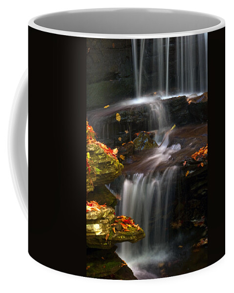 Ricketts Glen Coffee Mug featuring the photograph Falls and Fall Leaves by Paul W Faust - Impressions of Light