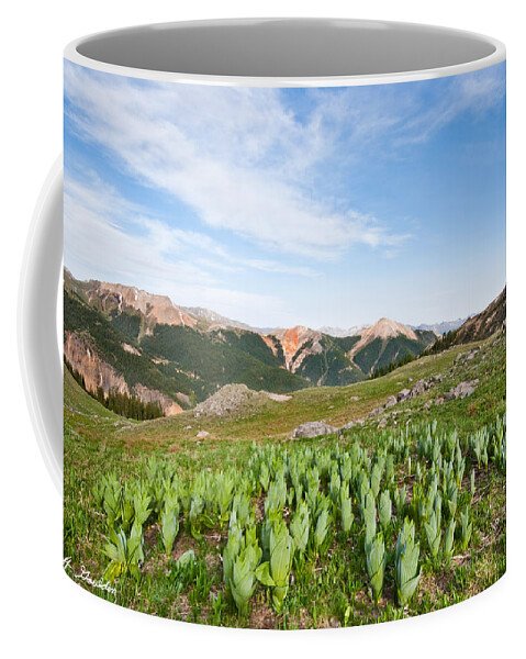 Barren Coffee Mug featuring the photograph False Hellebore in the Evening Light by Jeff Goulden