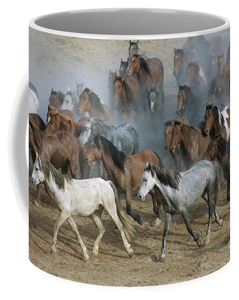 00340233 Coffee Mug featuring the photograph Family Band Of Mustangs by Yva Momatiuk and John Eastcott