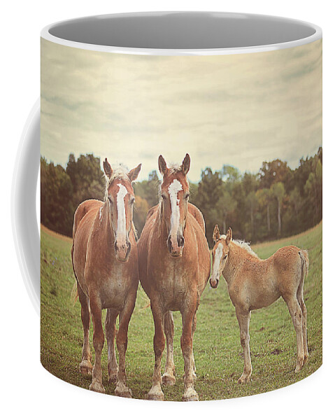 Nature Coffee Mug featuring the photograph Family by Carrie Ann Grippo-Pike