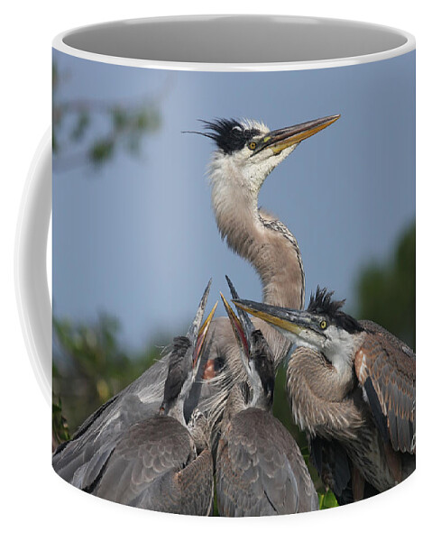 Great Coffee Mug featuring the photograph Family Portrait by Jayne Carney