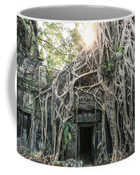 Tomb Coffee Mug featuring the photograph Famous old temple ruin with giant tree roots - Angkor wat - Cambodia by Matteo Colombo
