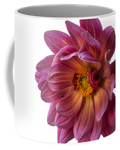 Flower Coffee Mug featuring the photograph Fancy Dahlia Closeup by Endre Balogh