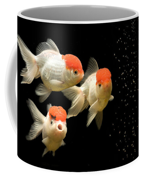 Fish Coffee Mug featuring the photograph Fancy Goldfish by Jean-Michel Labat