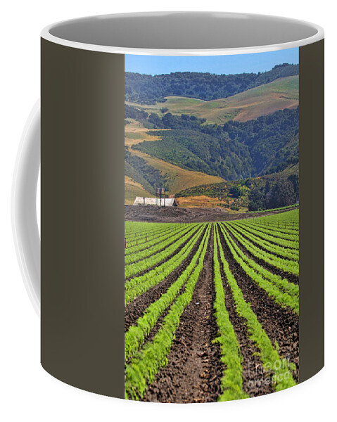 Farm Coffee Mug featuring the photograph Farm Lands of the Central Coast by Diana Sainz by Diana Raquel Sainz