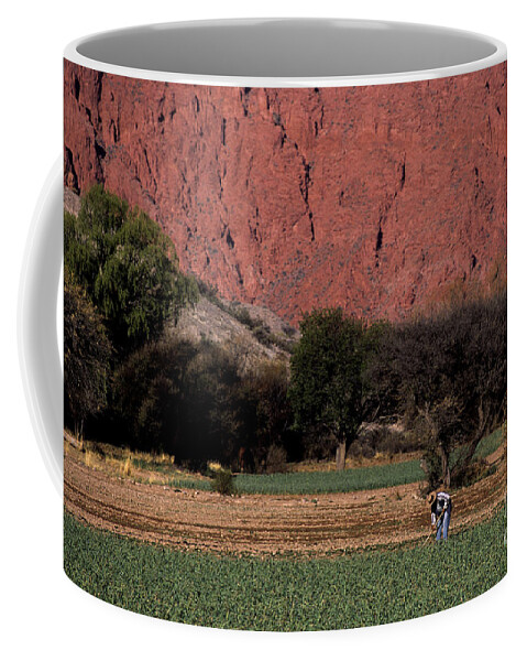Argentina Coffee Mug featuring the photograph Farmer in field in northern Argentina by James Brunker