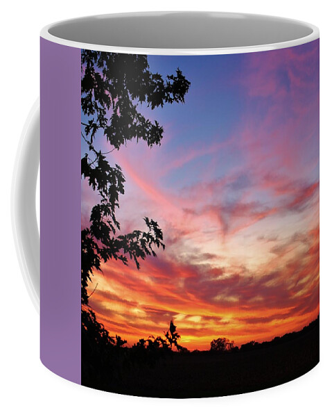 Sunset Coffee Mug featuring the photograph Farwell to Another Day by Bruce Bley