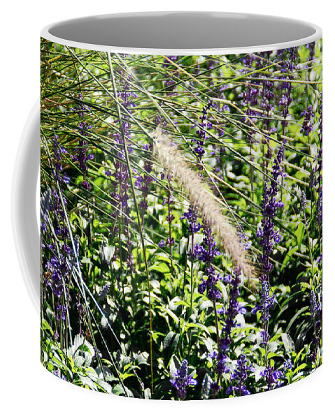 Plant Coffee Mug featuring the photograph Feather in the Crowd by Aimee L Maher ALM GALLERY