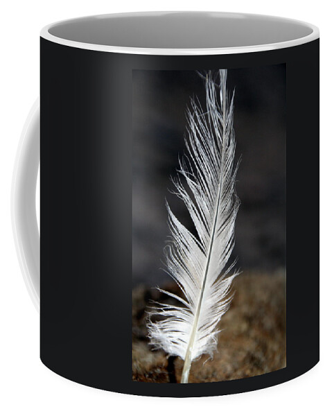 White Coffee Mug featuring the photograph white Lake Erie Seagull Feather by Valerie Collins