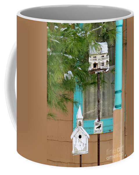 Bird Houses Coffee Mug featuring the photograph Feathered Friends welcome by Nancy Patterson