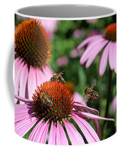 Bees Coffee Mug featuring the photograph Feeding Frenzy by Jayne Carney