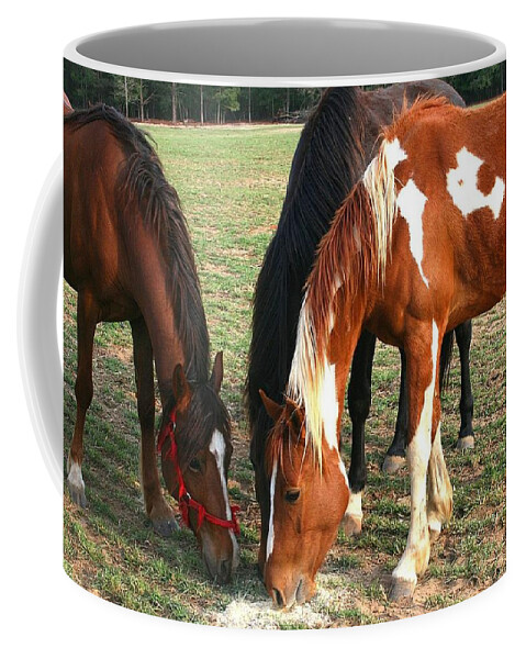 Horses Coffee Mug featuring the photograph Feeding Horses by Cathy Harper