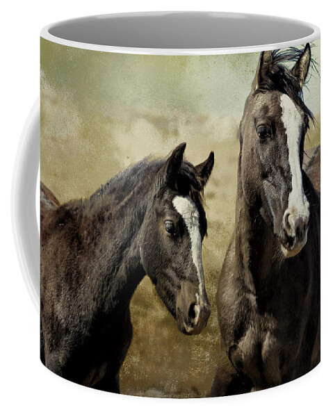 Pryor Mustangs Coffee Mug featuring the photograph Feldspar and Ohanzee - Pryor Mustangs by Belinda Greb